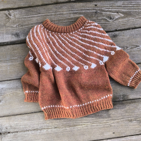 

Shooting Star - Children’s Sweater
3