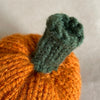 

Mini-citrouilles - Petites courges de décoration
4