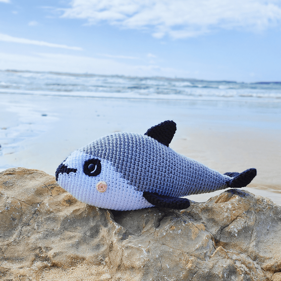 

Vaquita Porpoise
1