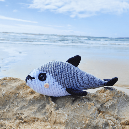 Vaquita Porpoise