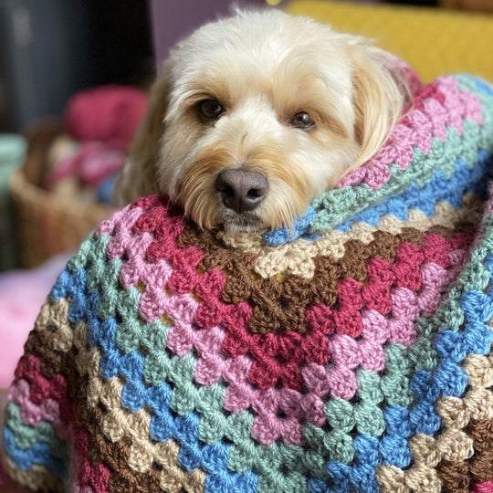 Dora - Dog Blanket