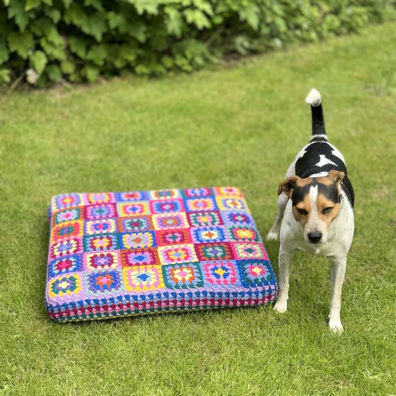 

Kafka’s Dog Bed
2