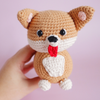 

Cooper de Corgi
3