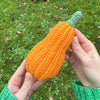 

Decorative Pumpkins - Oblong
11