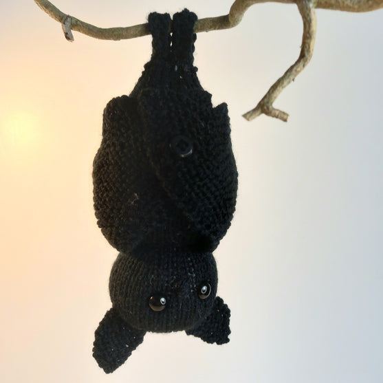 

Bernard Chauve-souris
5