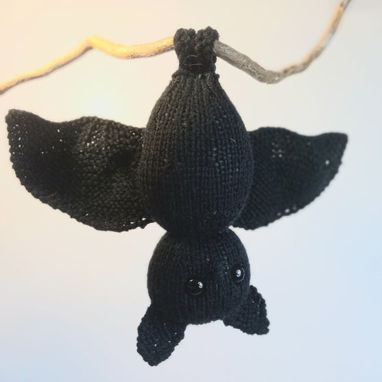 

Bernard Chauve-souris
4