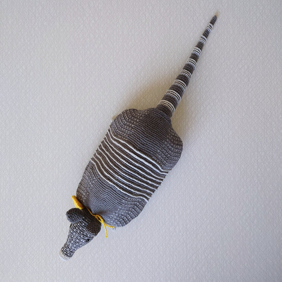 

Arnie The Armadillo
3