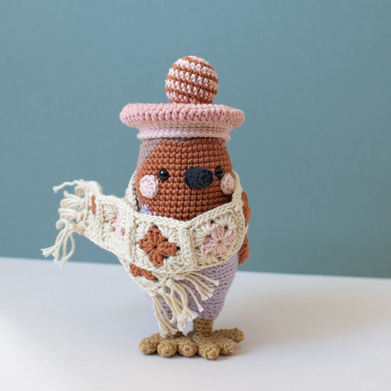 

3e dimanche de l'Avent - Amigurumi - Grayson Robin
1