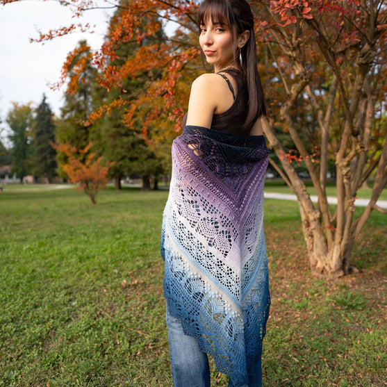 

Frozen Iris - Shawl
4