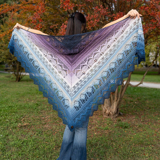 

Frozen Iris - Shawl
2