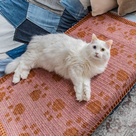 Paw Prints On My Heart - Blanket