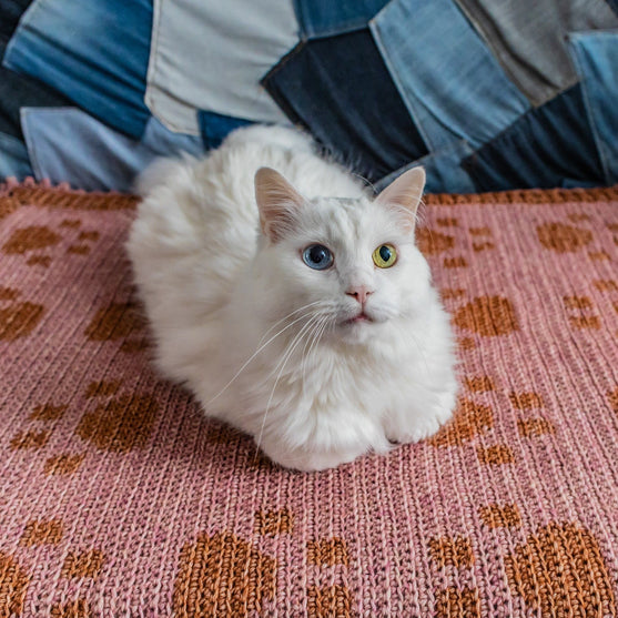 

Paw Prints On My Heart - Blanket
2