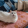 

Paw Prints On My Heart - Blanket
3