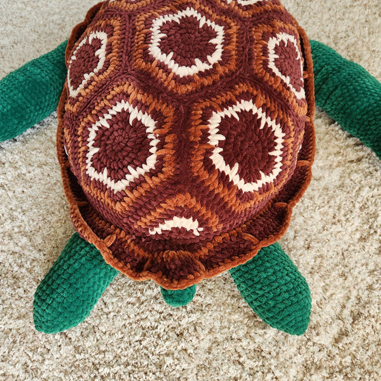 

Splash the Sea Turtle
5