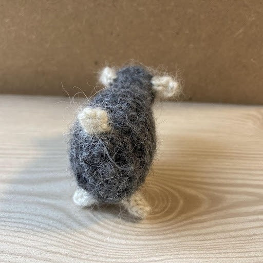 

Wooly
4