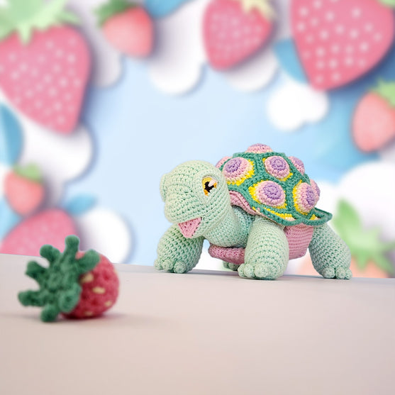 

Astro the Tortoise
4