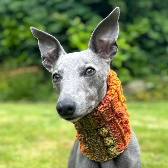 

Doggy Bobble - Snood
2