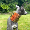 

Doggy Bobble - Snood
3