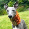 

Doggy Bobble - Snood
4