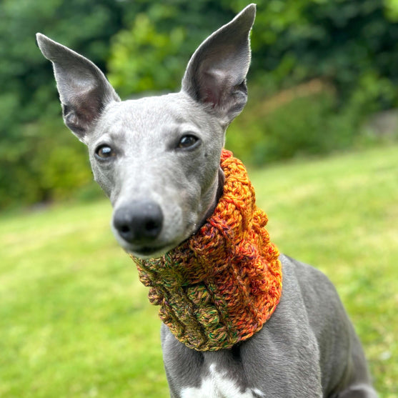 

Doggy Bobble - Snood
4