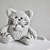 

Misse le chat
2