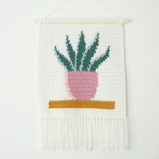 Snake Plant - Hanging