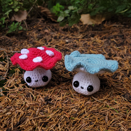 

Fall Fungi
6