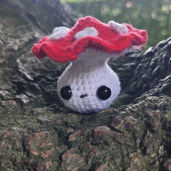 

Fall Fungi
5