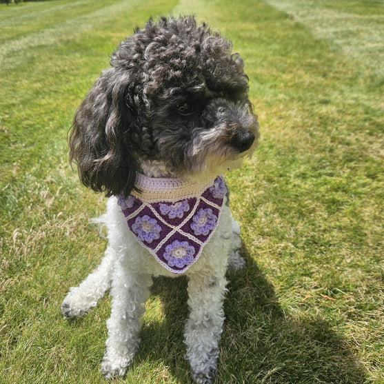 

Millie’s - Bandana voor hond
2