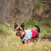 

Yorkshire Terrier - Dog Sweater
4
