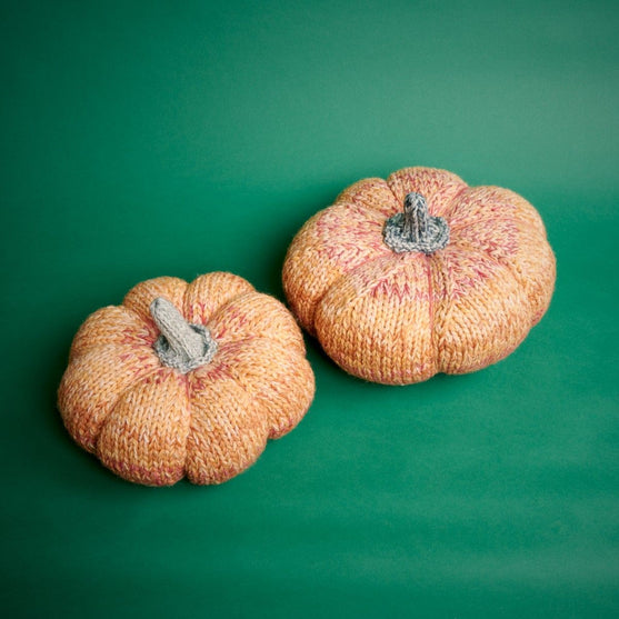 

Giant Pumpkin
5