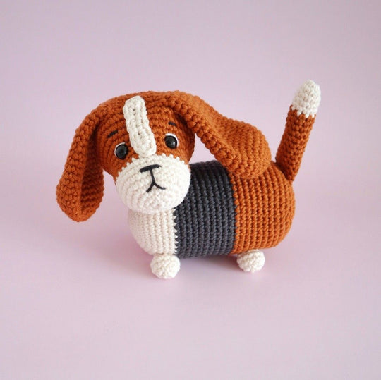 Gus the Basset Hound