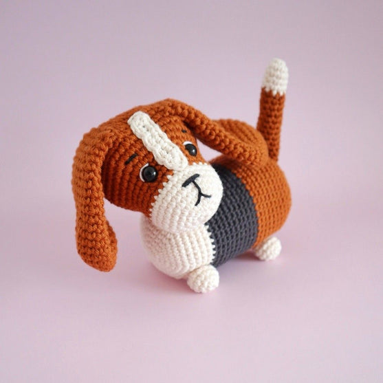 

Gus the Basset Hound
5