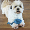 

Tadpole – Dog Toy
1