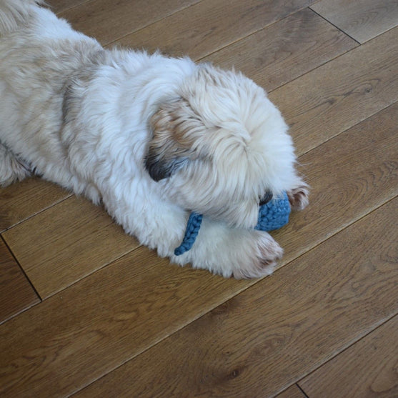 

Tadpole – Dog Toy
3