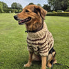 

Stevie - Dog Sweater
4