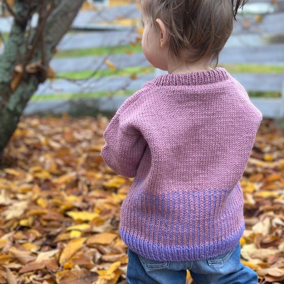 

Easy Colour Mix Sweater Junior
3