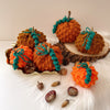 

Bumpy Pumpkin
1