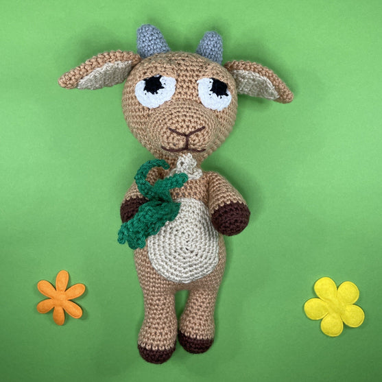 

Capricorne - Signe du zodiaque
1