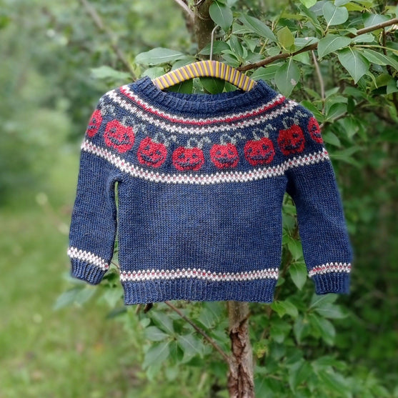 

Pumpkins - Children’s Sweater
4