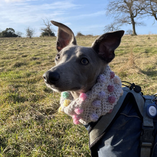 Rainbow Bobble - Snood