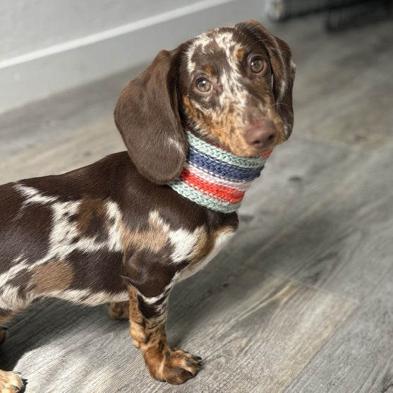 

Wes - Écharpe pour chien
1