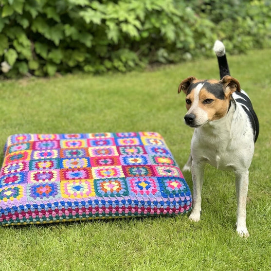 

Kafka’s Dog Bed
1
