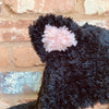 

Hooded Cat - Capuche
4