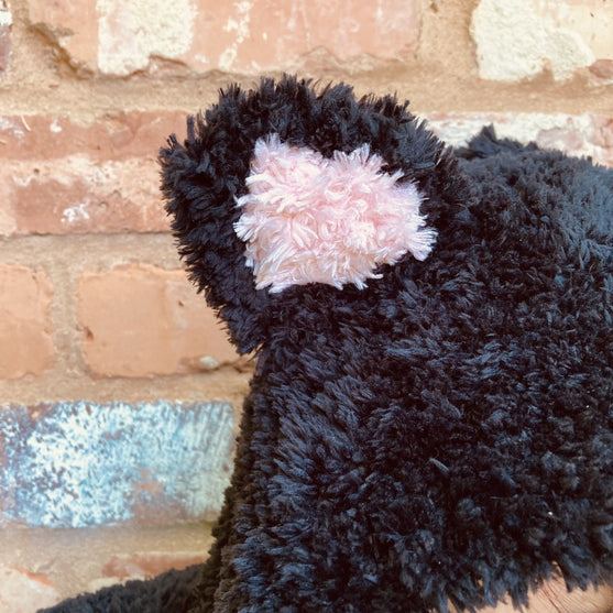 

Hooded Cat - Capuche
4