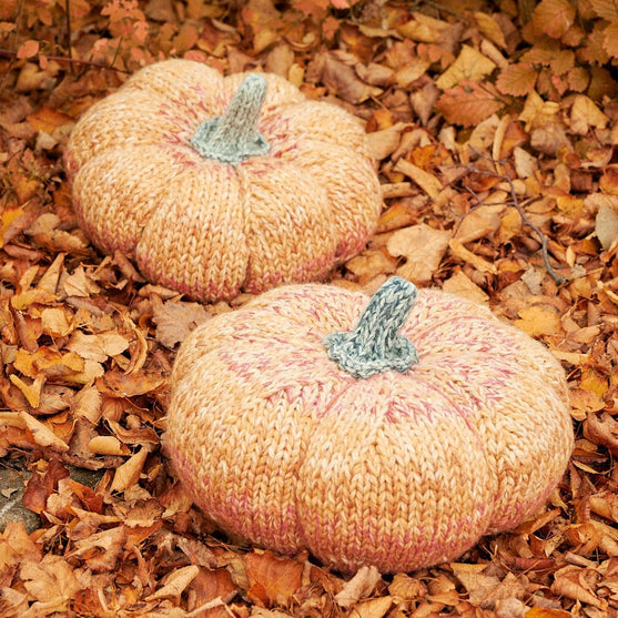 

Giant Pumpkin
2