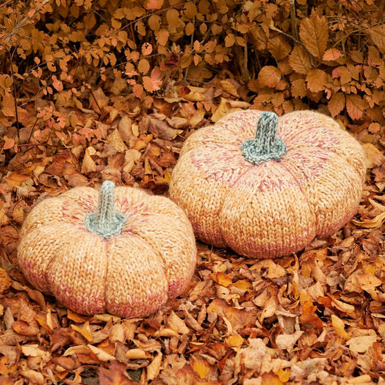 

Giant Pumpkin
3