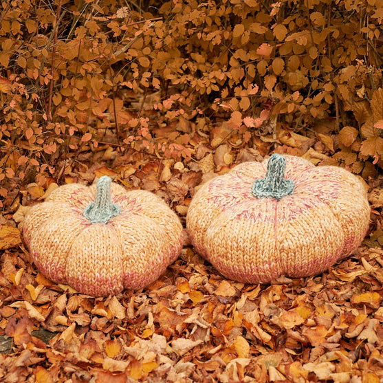 

Giant Pumpkin
4
