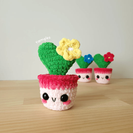 Lia The Tiny Heart Cactus