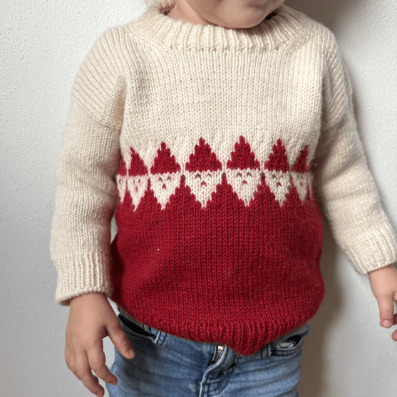 

Easy Santa Sweater Junior
1